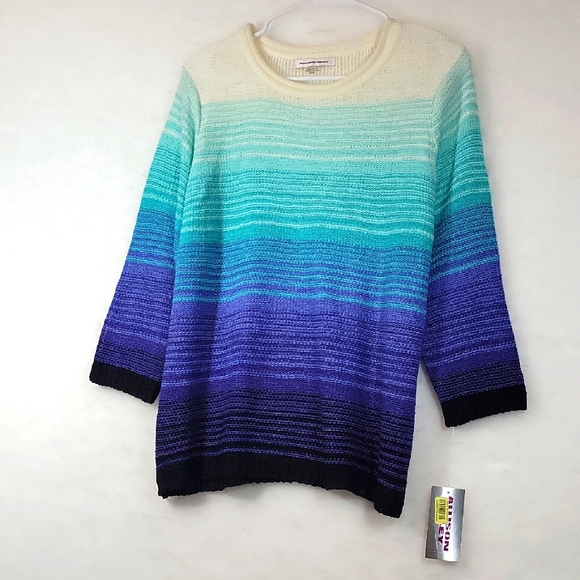 NWT Allison Daley Cream and Blue Gradient Sweater Size M - Picture 1 of 8